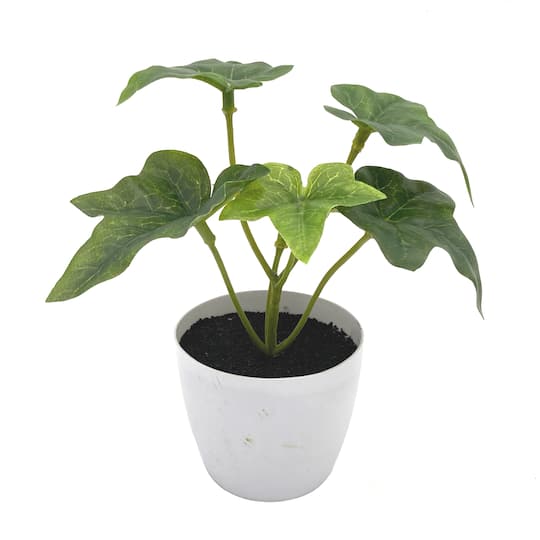 6&#x22; Potted Sage Ivy Plant by Ashland&#xAE;